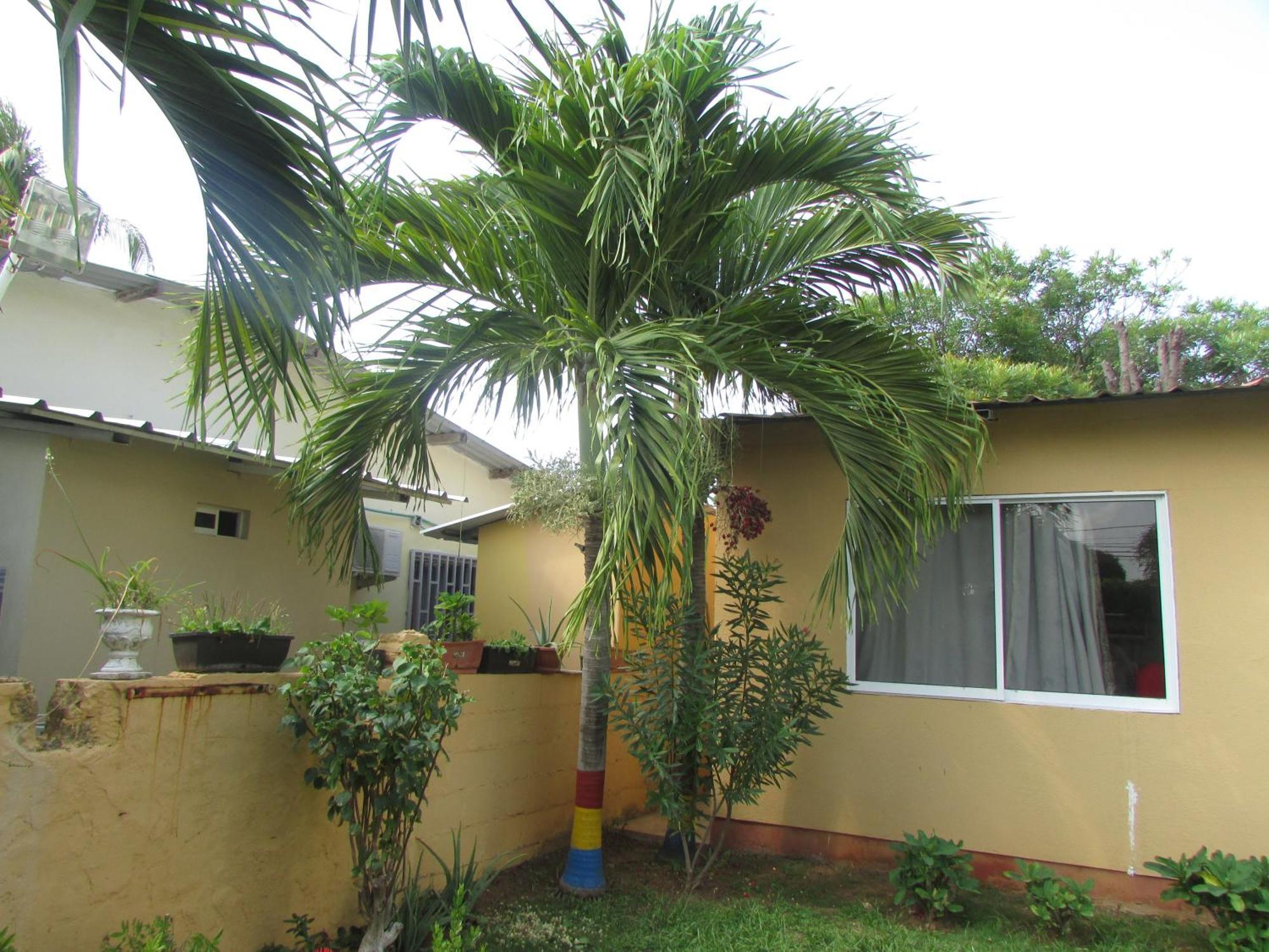 Posada Hostal Miss Marlly San Andres  Exterior photo